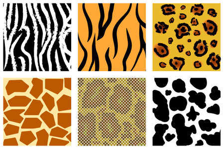 The animal skin seamless pattern set ( Illustration)のイラスト素材