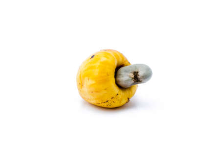 Fresh Cashew Nut isolated on white background 