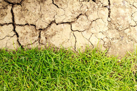 Half the frame is lush green grass and the other half is cracked dry desert sand の写真素材