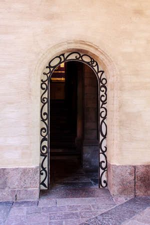 The ancient door and old brick wall
