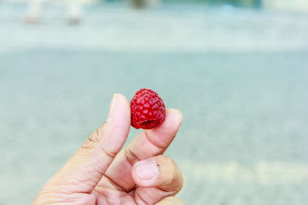 close up rasberry in the man hand