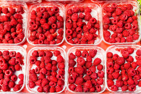 Rasberry background from many ripe berries close upの写真素材