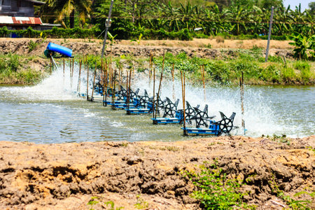 water turbine wheel fill oxygen into waterの写真素材