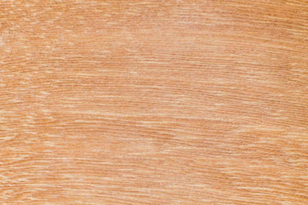 Texture of wood background closeup (Wood Pattern)の写真素材