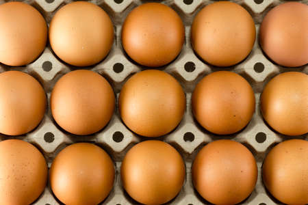 Closeup of many fresh brown eggs in carton tray