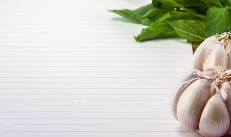 Garlic and basil on a blank paperの写真素材