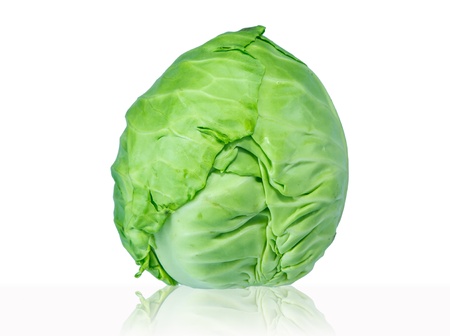 Fresh cabbage on white backgroundの写真素材