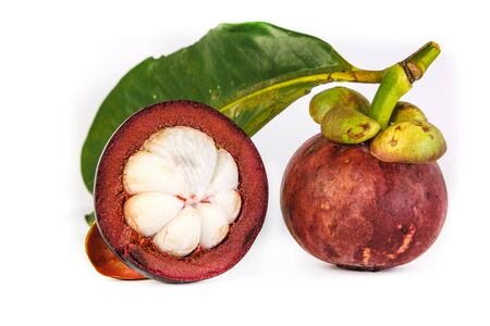 Fresh mangosteen fruit with green leafの写真素材