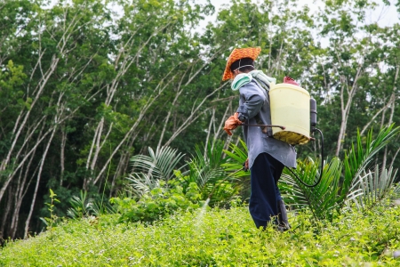 A man  with hat,glove and spayer tank  is spraying herbicideの写真素材