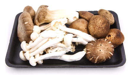 Pack of different mushroom on white backgroundの写真素材