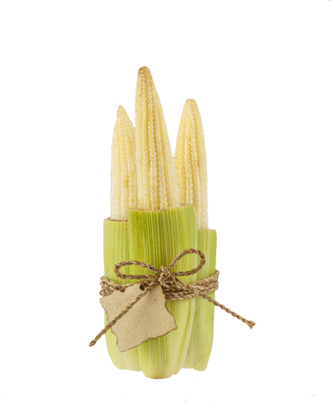 Baby corns tied with rope and tag on white backgroundの写真素材