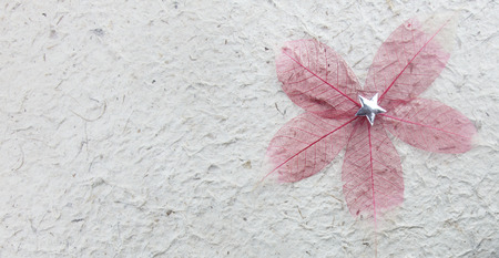 rough mulbery handmade paper texture  with para rubber  leafの写真素材