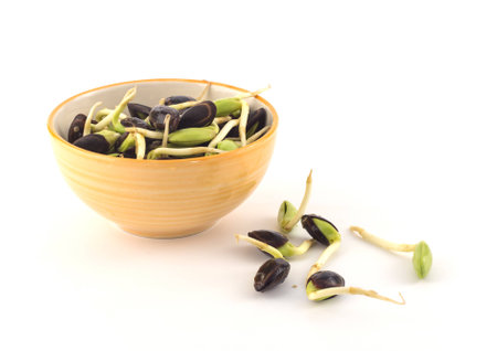 Bowl of fresh riang Parkia seeds on white background