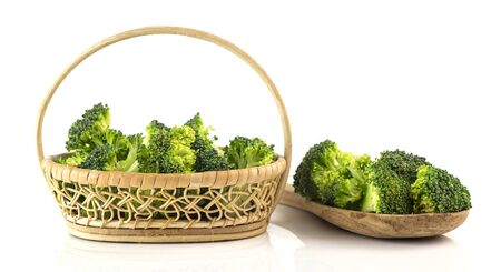 Group of fresh broccoli fro cook on white backgroundの写真素材
