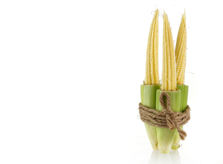 Group of fresh baby corn isolated on whiteの写真素材