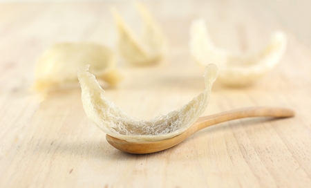 Close up raw swallow bird nest on spoon for eatingの写真素材