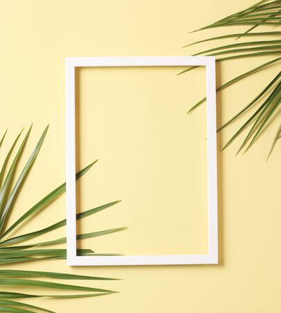 Leaves composition - green palm leaves and white frame  on pastel yellow background - copy spaceの写真素材