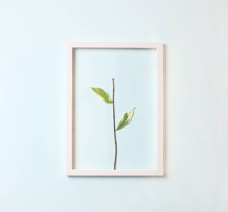 Save the earth concept - stalk with few leaves on pastel blue background , flat lay