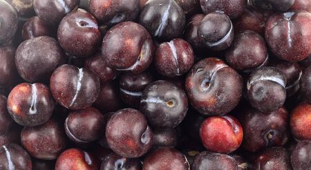 Top view of many fresh ripe plums as backgroundの写真素材