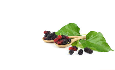 Healthy fruit - mulberry on wooden spoon with green leaves isolated on whiteの写真素材