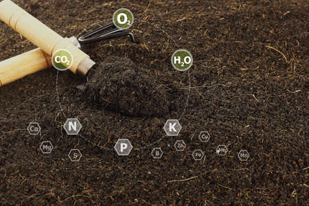 Close up fertile loamy soil for plantingon spoon with 16 digital  nutrients icon which necessary in plant life, Plant Nutrients, Macronutrients,Micronutrients. Agriculture concept.の写真素材