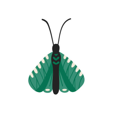 undefinedのイラスト素材