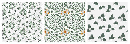 Collection of seamless patterns with different flowers, plants and leaves. Vector illustration of floral patterns. Modern design for paper, cover, fabric, interior decor and other users.のイラスト素材