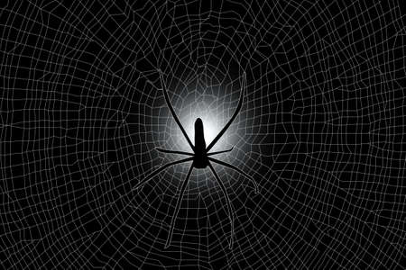 Silhouetted illustration of spider web and spider.のイラスト素材
