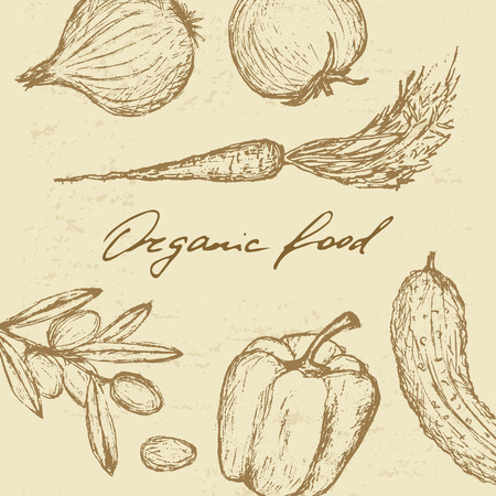 Vector hand drawn modern organic food concept, booklet, poster, brochure, menu. Chalkboard background, hand lettering.のイラスト素材