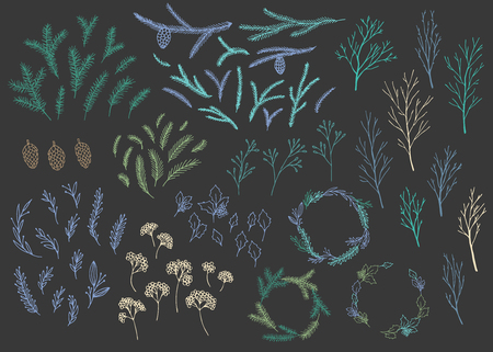 Vector hand drawn big collection of christmas plants and branches. Elegant design elements.のイラスト素材