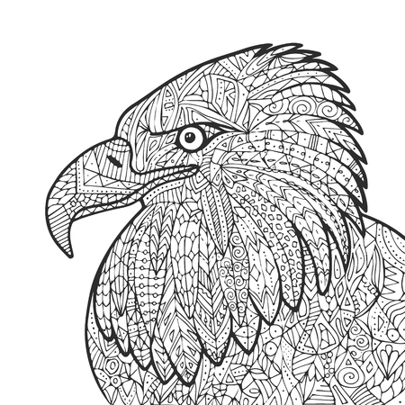 Vector hand drawn eagle bird illustration for adult coloring book.のイラスト素材