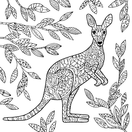 Vector kangaroo illustration. Adult coloring page. Elegant animal illustration.のイラスト素材