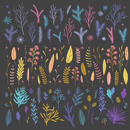 Vector hand drawn big flower and plant collection. Cute and elegant botanical floral set.のイラスト素材