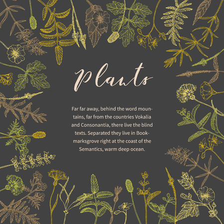 Vector hand drawn floral frame or banner.のイラスト素材