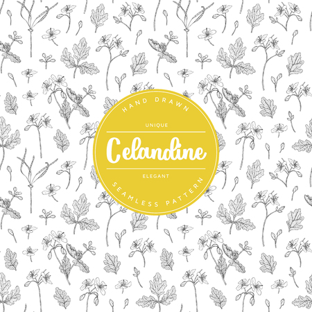 Vector hand drawn floral seamless pattern and backdrop.のイラスト素材