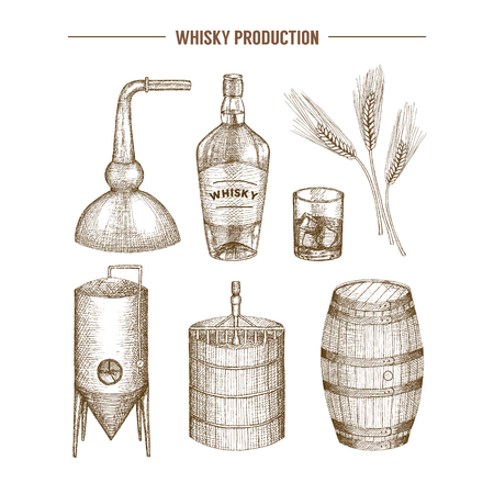 Vector hand drawn whisky production elements.のイラスト素材