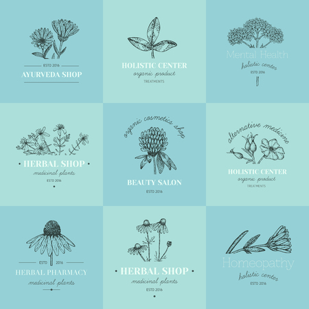 Vector vintage hand drawn herb logos. Alternative medicine, ayurveda, pharmacy, homeopathy, beauty shop, holistic center logos, badges, emblems.のイラスト素材