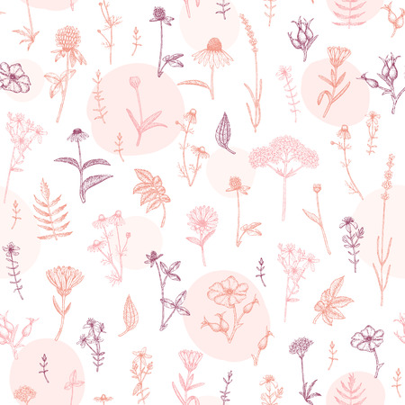 Vector hand drawn medicinal plant seamless pattern. Sketch, drawing, illustration of echinacea, calendula, clover, lavender, chamomile, dog rose, valerian, st. John's Wort plants.のイラスト素材