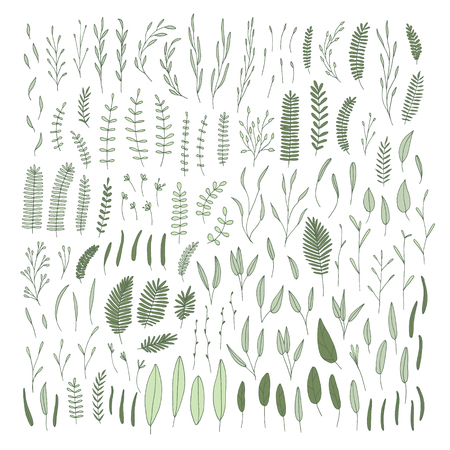 Vector hand drawn collection of doodle leafs and branches. Simple drawings of plants.のイラスト素材