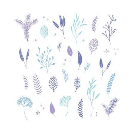 Vector elegant cute Christmas floral big collection. Feminine flower graphic design elements. Leaves, twigs and branches.のイラスト素材