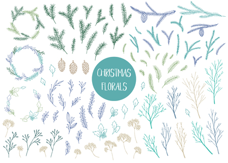 Vector hand drawn big collection of christmas plants and branches. Elegant design elements.のイラスト素材