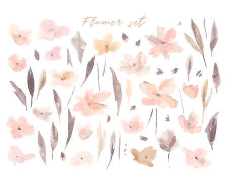 Elegant abstract watercolor summer flower collection. Feminine trendy spring floral illustration set, art print and backdrop. Stylish autumn pastel color background. Cute botanical design elements.の写真素材