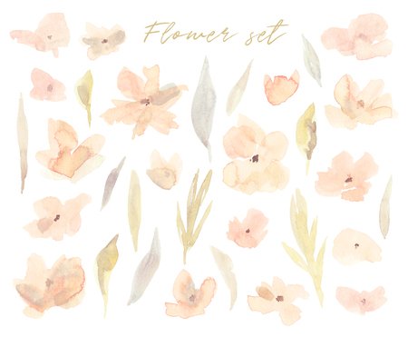 Elegant abstract watercolor summer flower collection. Feminine trendy spring floral illustration set, art print and backdrop. Stylish autumn pastel color background. Cute botanical design elements.の写真素材