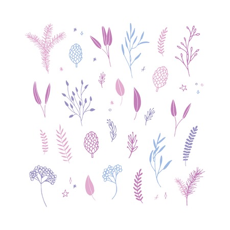 Vector elegant cute Christmas floral big collection. Feminine flower graphic design elements. Leaves, twigs and branches.のイラスト素材