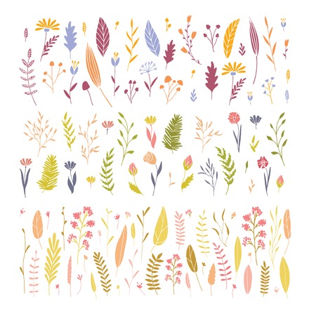 Vector elegant cute flower big collection. Feminine floral graphic design elements. Leaves and branches.のイラスト素材