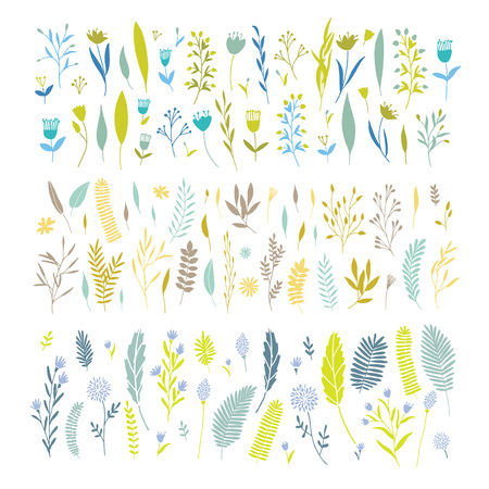 Vector elegant cute flower big collection. Feminine floral graphic design elements. Leaves and branches.のイラスト素材