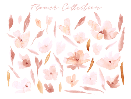 Elegant abstract watercolor summer flower collection. Feminine trendy spring floral illustration set, art print and backdrop. Stylish autumn pastel color background. Cute botanical design elements.の写真素材