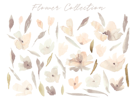 Elegant abstract watercolor summer flower collection. Feminine trendy spring floral illustration set, art print and backdrop. Stylish autumn pastel color background. Cute botanical design elements.の写真素材