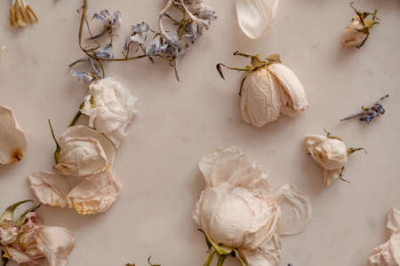 Withered flowers print.の写真素材