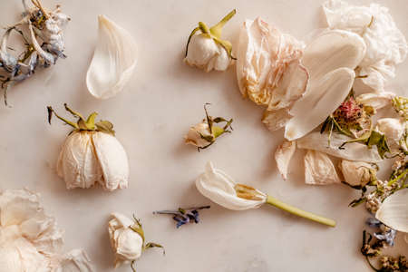 Withered flowers print.の写真素材